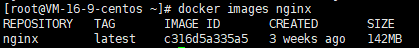 docker-import-result
